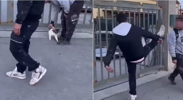 Prendono a calci un gattino in strada “per gioco”: il video denuncia sui social