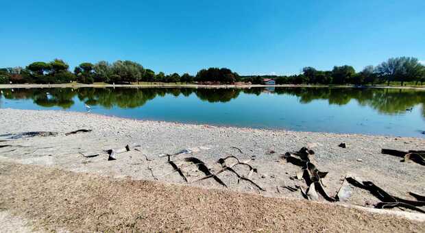 Roma, allarme siccità al laghetto di Tor di Quinto: cittadini preoccupati per la salute delle tartarughe