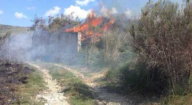 Piromani in azione a Montecorice, in fiamme la pineta