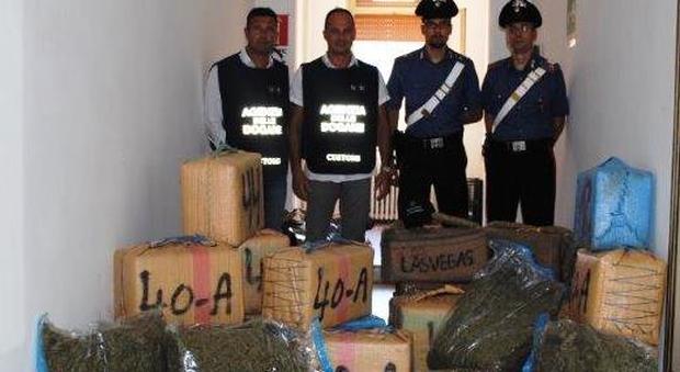 Droga nascosta nelle casse di frutta, maxi sequestro al porto di Civitavecchia: arrestato un autotrasportatore