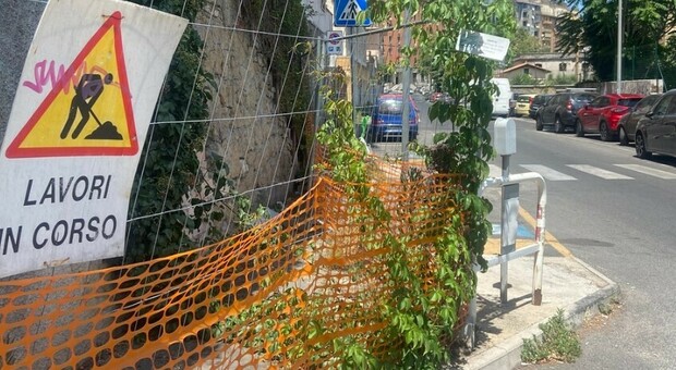 Mistero sul “pollaio” più longevo della Capitale, nel terzo Municipio da anni ai disabili è negato un pezzo di marciapiede