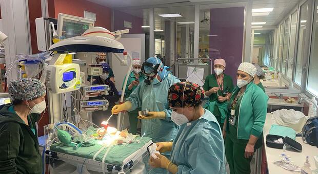 Cardiochirurgia neonatale, intervento salvavita a Castellammare