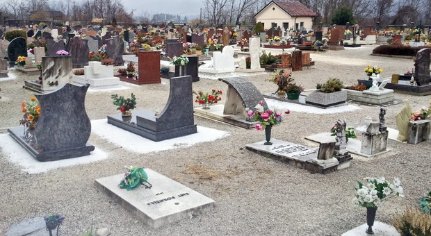 Furto di fiori in un cimitero