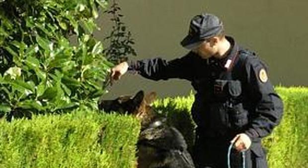 Un carabiniere impegnato nei controlli con un cane anti-droga