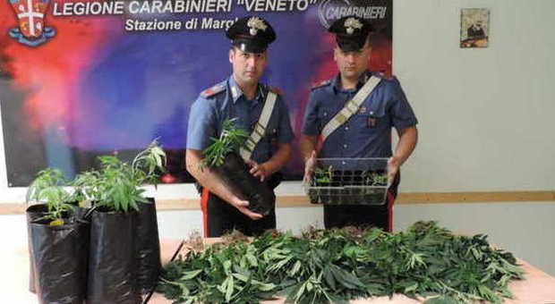 Preso con 4,5 kg di marijuana: finisce in manette il corriere della droga