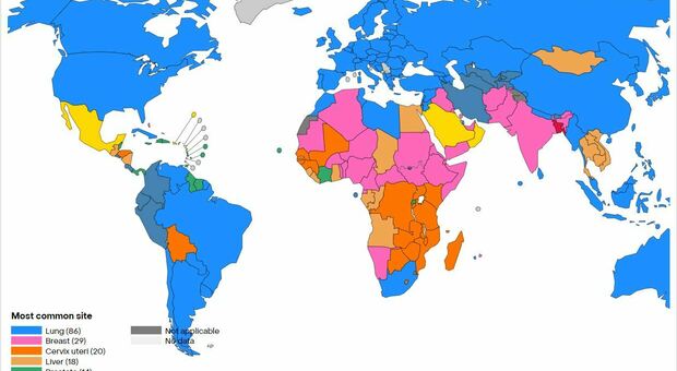 Tumori, una mappa interattiva svela i più comuni e i più letali in ogni paese del mondo. Ecco quali sono
