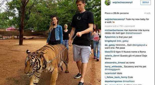 Szczesny,il nuovo portiere della Roma con la tigre al guinzaglio (Instagram)