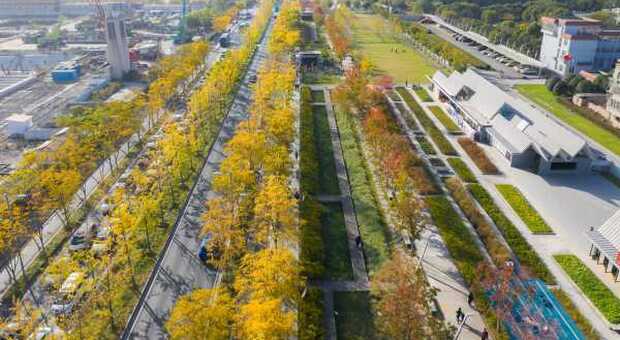 Cina, a Shanghai la pista dell'ex aeroporto diventa un giardino pubblico