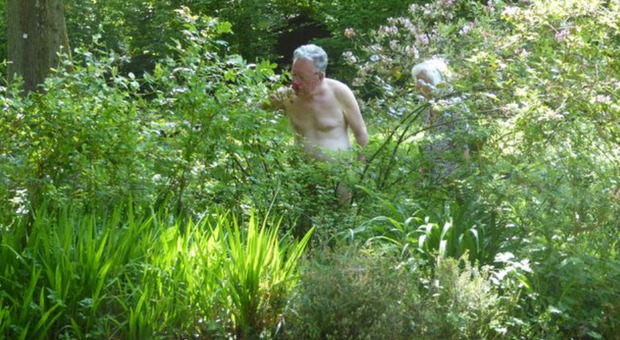 Pensionato a caccia di giardini in affitto dove girare nudo: «In cambio offro soldi e consigli di giardinaggio». L'uomo diventa una star
