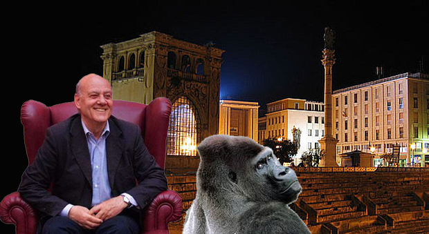 Thriller nella movida: un gorilla a Lecce e il giallo è servito