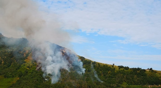In fiamme la collina dei Camaldoli: bruciano vegetazione e sterpaglie