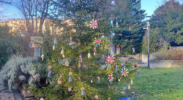 Albero di Natale vandalizzato: fili delle luci tagliati e addobbi distrutti