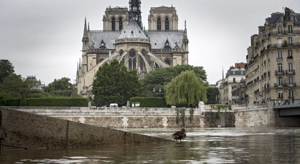 Parigi, un tuffo nel fiume: per le Olimpiadi 2024 la Senna sarà balneabile per tutti