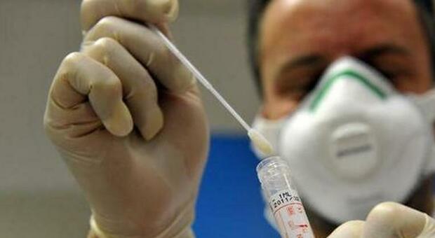 Pazienti trovati positivi in ospedale a Chioggia, ma i test molecolari danno risultato negativo