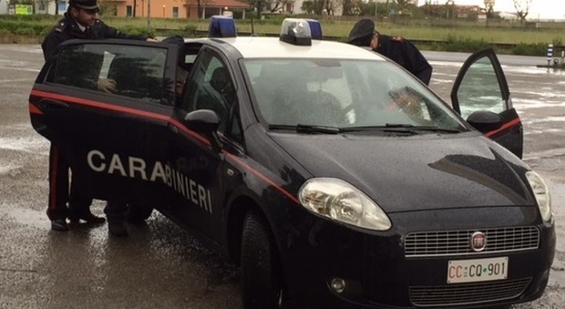 L'operazione è stata svolta dai carabinieri di Mondolfo