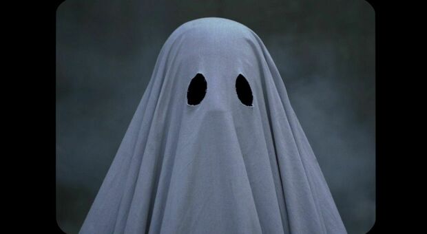 Halloween, si traveste da fantasma per spaventare i vicini: ma uno di loro spara e la uccide