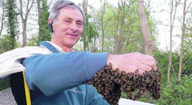 La passione dell'imprenditore Bruno Vivian: è l'uomo che cattura le api
