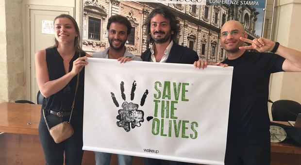 Xylella, nasce "Save the Olives" il 21 luglio concerto a Tiggiano con i cameristi della Scala