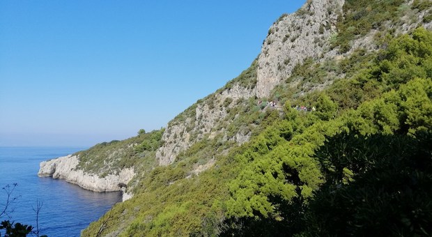 Capri, grande partecipazione alla terza «Camminata tra gli olivi»