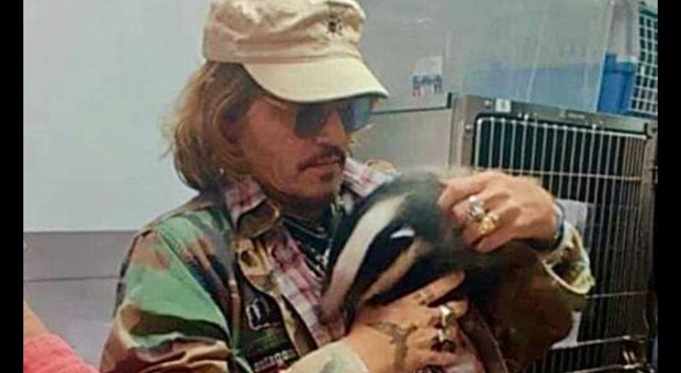 Johnny Depp visita un rifugio per animali, le tenere immagini fanno il giro del mondo