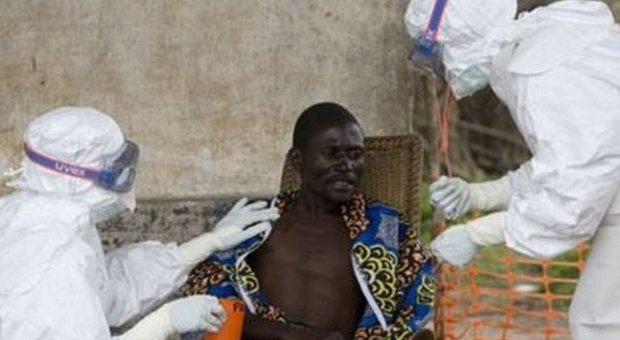 Virus Ebola, il Veneto allerta le Asl: «Tenere la guardia alta»