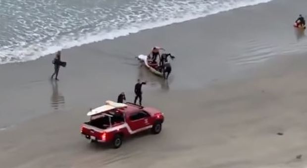 Tredicenne attaccato da uno squalo mentre è in immersione: portato a riva da un kayak