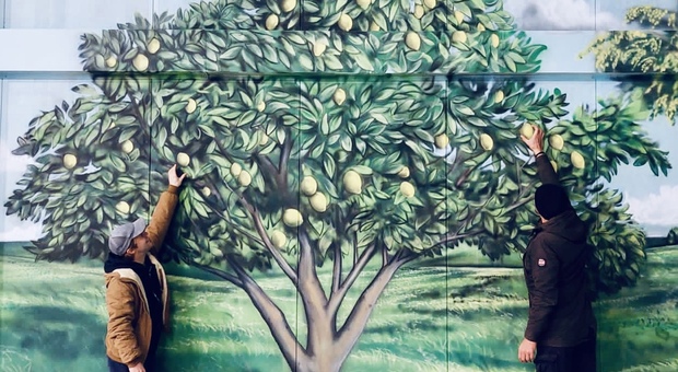 Record a San Polo di Piave. Sulla facciata della Stampiave Srl un murales «green» da 562 metri quadrati: è il più grande della Provincia di Treviso