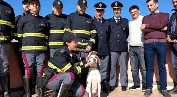 La cagnolina salvata sull'autostrada e arruolata nella polizia stradale