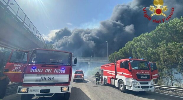 Incendi, la pineta Dannunziana di Pescara devastata: le fiamme partite da un canneto