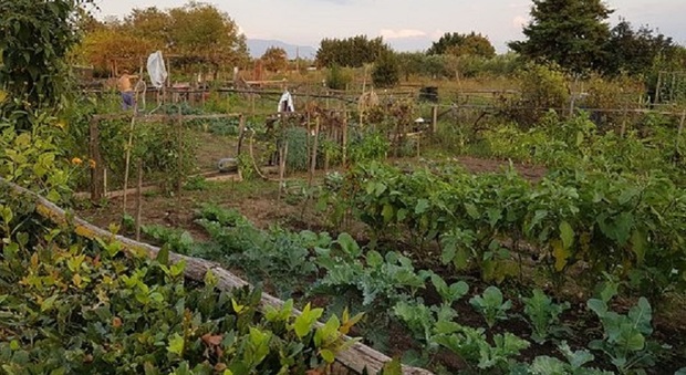 Uno degli orti urbani di Pontecagnano