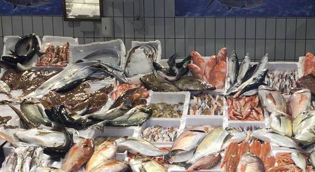 Capodanno a Pozzuoli e dintorni, la grande notte del mercato ittico