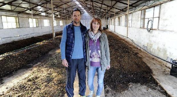 Rossella si inventa un lavoro con i lombrichi: da disoccupata a imprenditore con il fertilizzante naturale