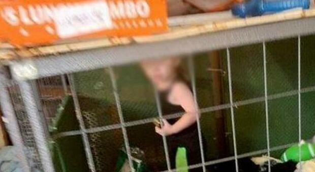 Casa degli orrori, poliziotti trovano un bambino di 6 anni in una gabbia per cani, altri due vagavano nudi sotto la pioggia