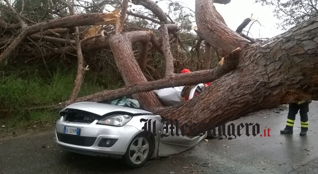 Roma, albero su auto ad Ardea: 2 morti e un ferito grave