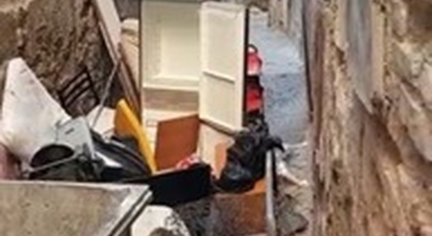 Napoli nel degrado, vico Piscicelli infestata dai topi: «Quest'è la nostra favela»