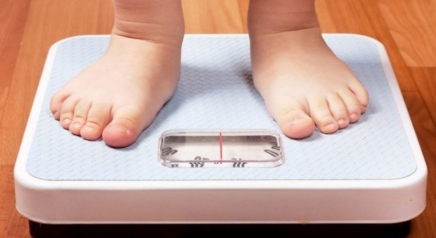 "Mettete a dieta vostro figlio": la lettera della scuola fa arrabbiare i genitori