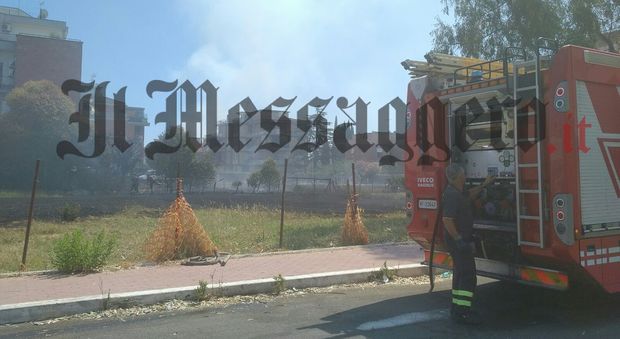 Sterpaglie a fuoco, paura nel centro direzionale di Latina