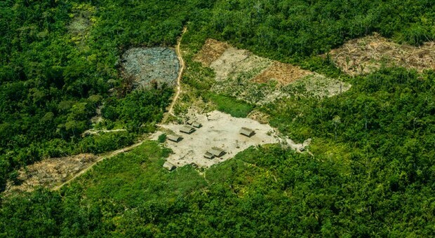 Accordo raggiunto alla COP26 di gASGOW per mettere un punto alla deforestazione entro il 2030: saranno investiti 19,2 miliardi di dollari