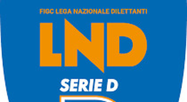 Il logo della serie D
