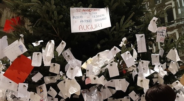 Napoli, l'albero nella Galleria Umberto si riempie di messaggi: «Una gioia gioia»