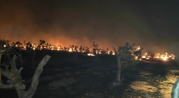Incendi, anche la Cia scrive al prefetto: «Piano mirato o sarà disastro ambientale»