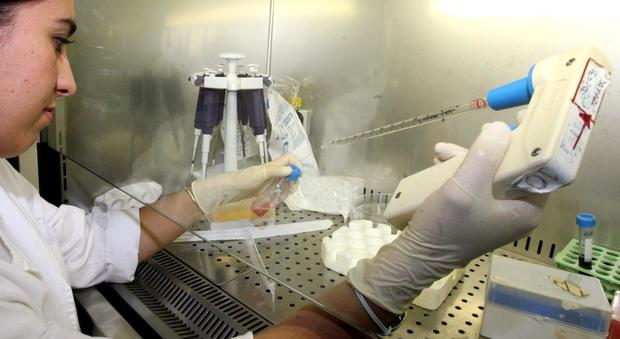 Tumori, da un batterio antartico nuove chance per le cure al polmone