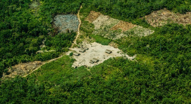 Il coronavirus è arrivato in una tribù remota dell'Amazzonia: morto un ragazzo di 15 anni