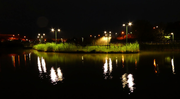 Il parco Cillarese illuminato (foto Max Frigione)