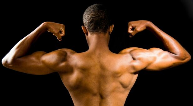 Fuori i muscoli a Porto Viro, già oltre 100 "macho man" iscritti alla competizione di bodybuilding (foto Unsplash Nigel Msipa)