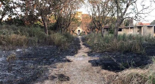 Napoli, Villa Letizia nel mirino: secondo incendio doloso nel parco pubblico