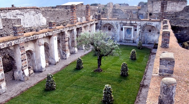 uno dei giardini del Parco Archeologico di Pompei