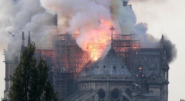 Rogo Notre Dame, trovato piombo nel sangue di un bimbo: scatta test su residenti e donne e incinte