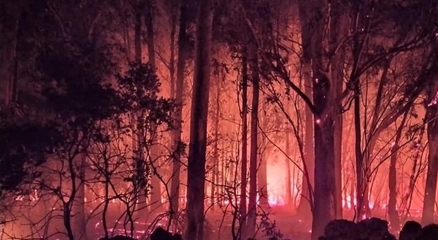 Lizzanello, brucia il bosco de Li Lei: incendio nella notte