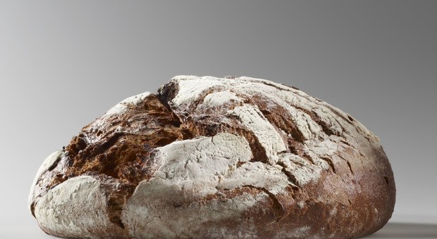 Nella crosta del pane componenti che invecchiano le cellule